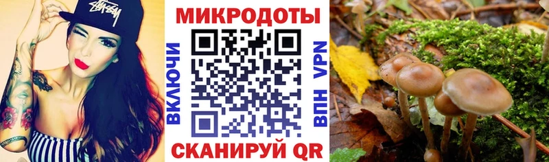 Псилоцибиновые грибы Psilocybine cubensis  blacksprut зеркало  Кукмор 